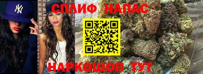 прущие крисы Донецк