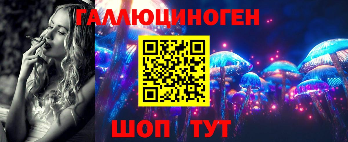 Псилоцибиновые грибы GOLDEN TEACHER  Вход с VPN  Москва 